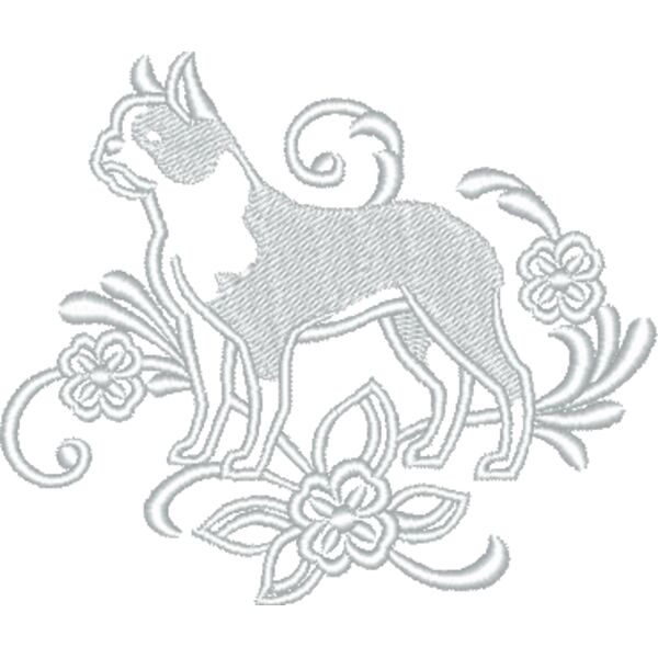 Boston Terrier Graceful Thumbnail