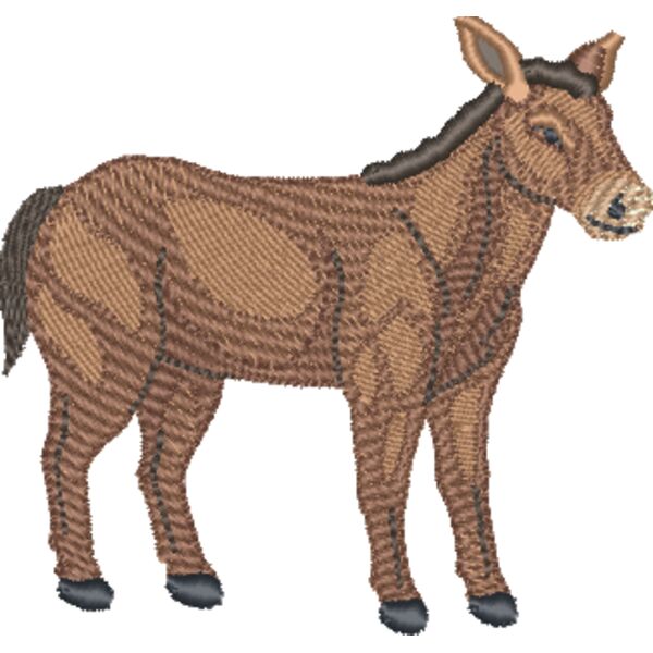 Donkey Thumbnail